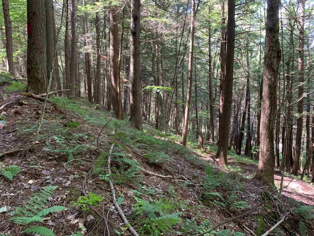 0 Howe Hill Road Sharon VT 05065