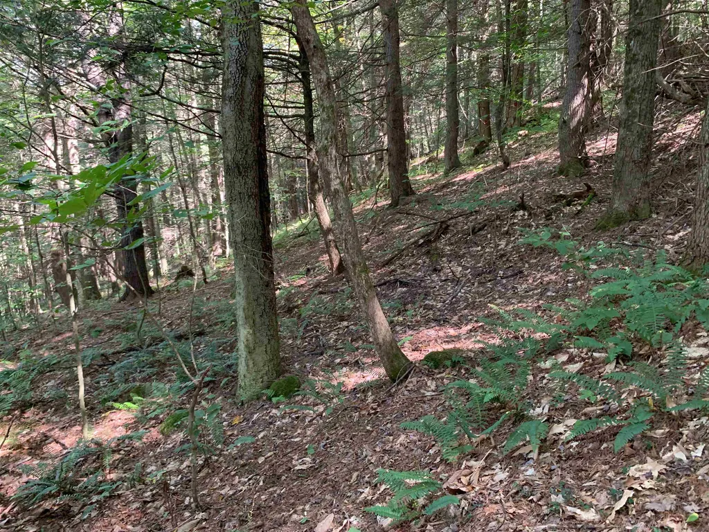 0 Howe Hill Road Sharon VT 05065