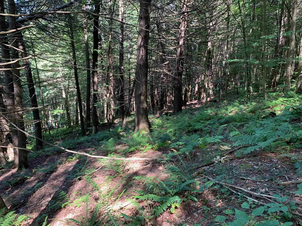 0 Howe Hill Road Sharon VT 05065