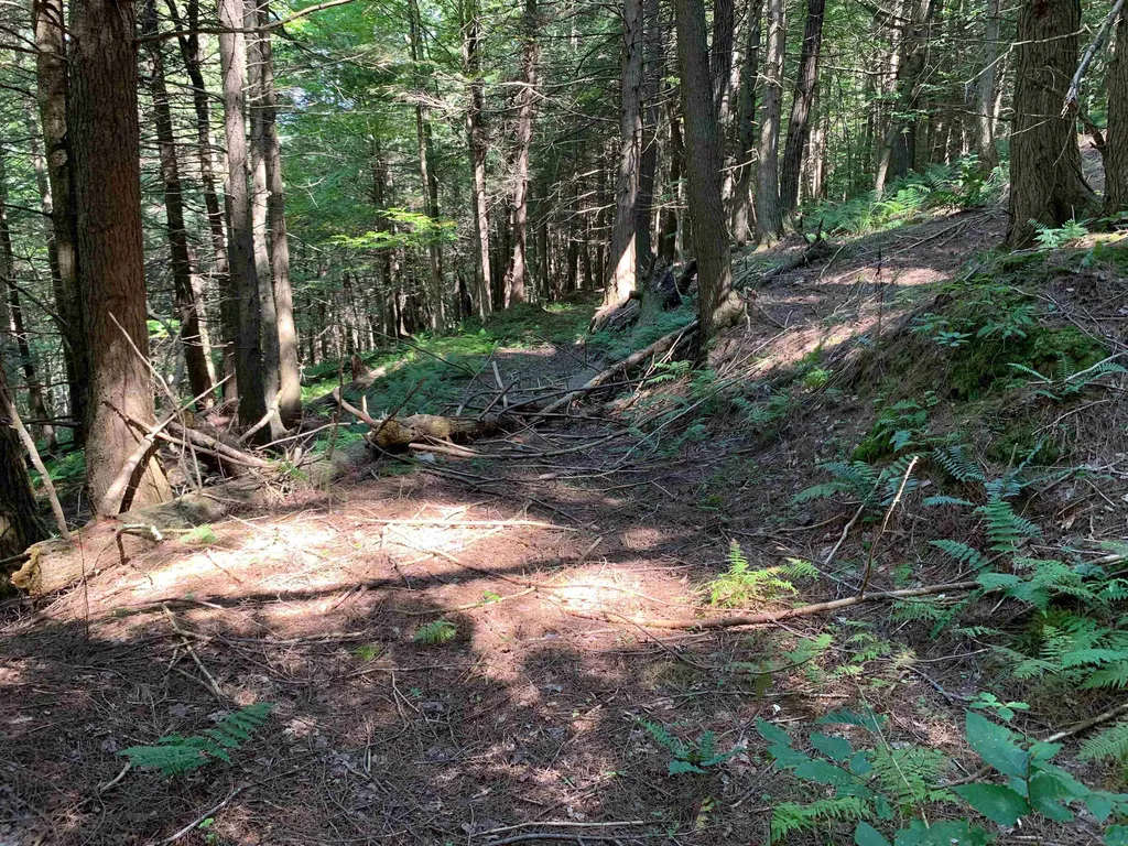 0 Howe Hill Road Sharon VT 05065