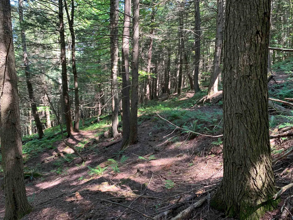 0 Howe Hill Road Sharon VT 05065