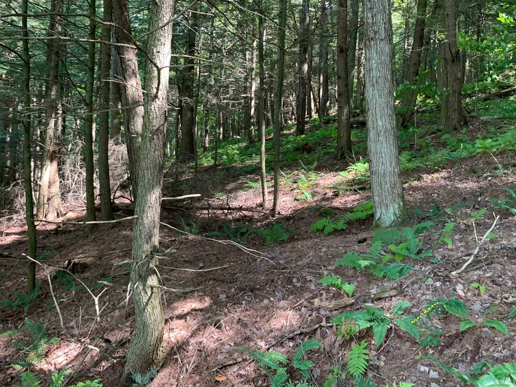 0 Howe Hill Road Sharon VT 05065