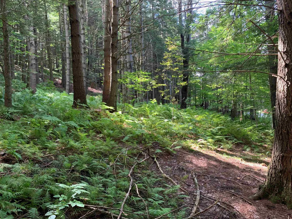 0 Howe Hill Road Sharon VT 05065