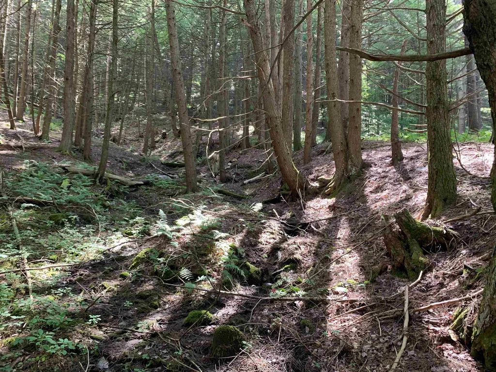 0 Howe Hill Road Sharon VT 05065