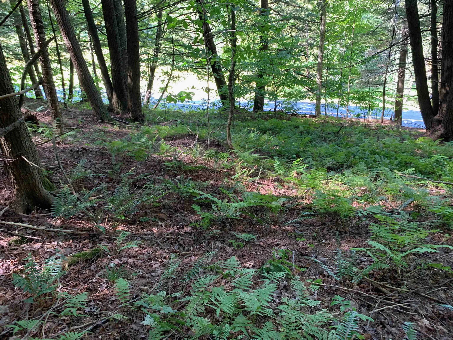 0 Howe Hill Road Sharon VT 05065
