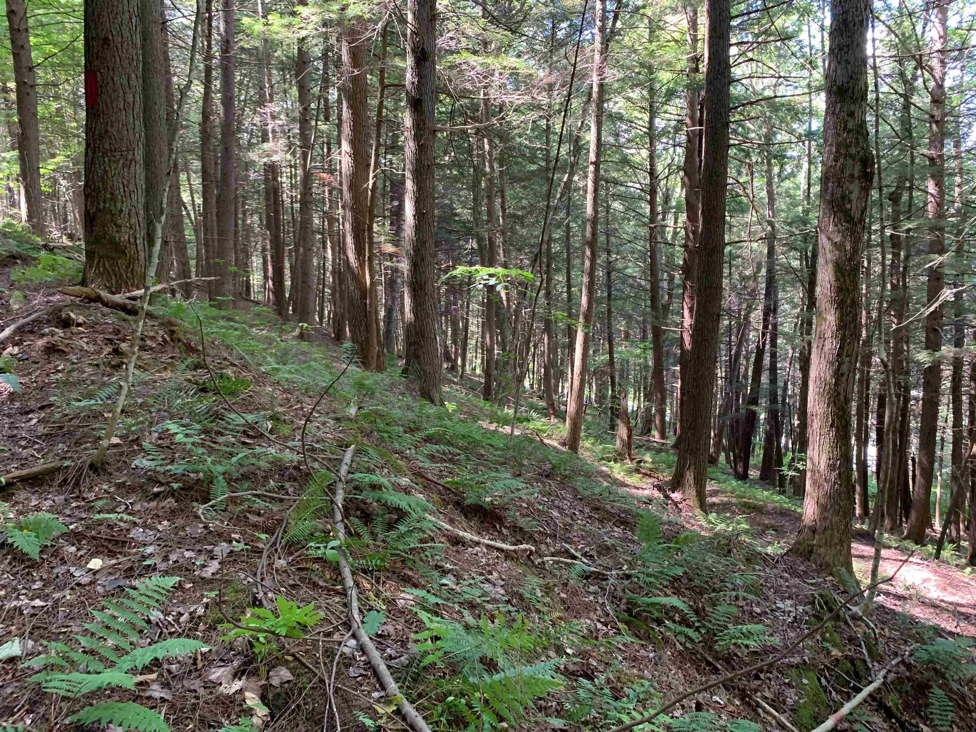 0 Howe Hill Road Sharon VT 05065