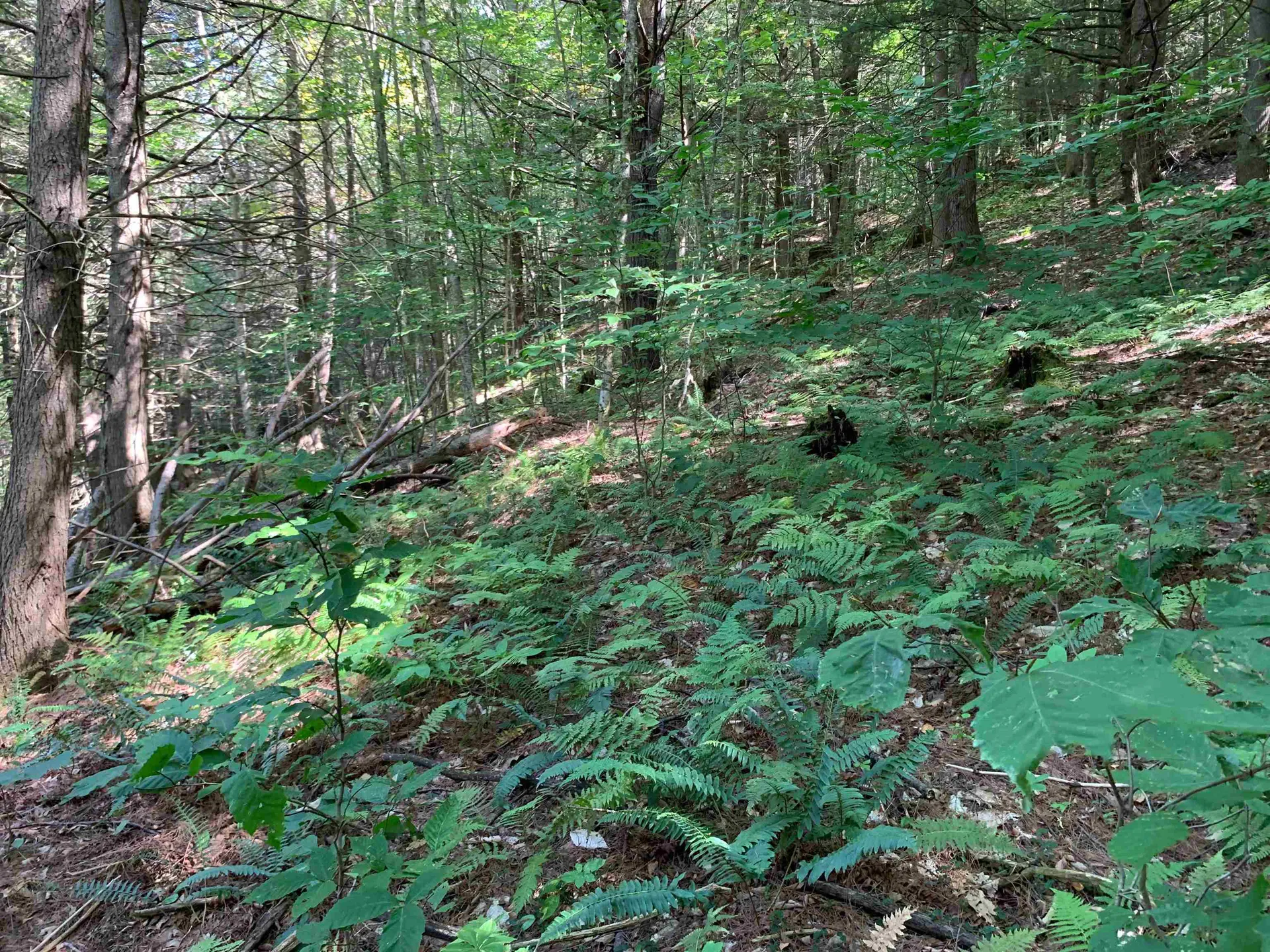 0 Howe Hill Road Sharon VT 05065