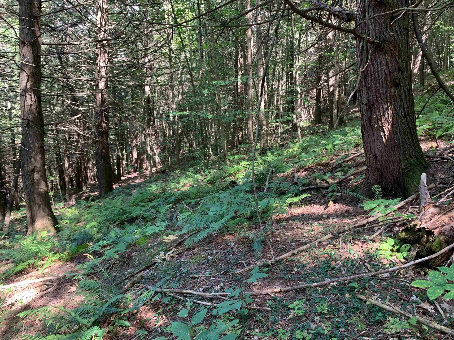 0 Howe Hill Road Sharon VT 05065