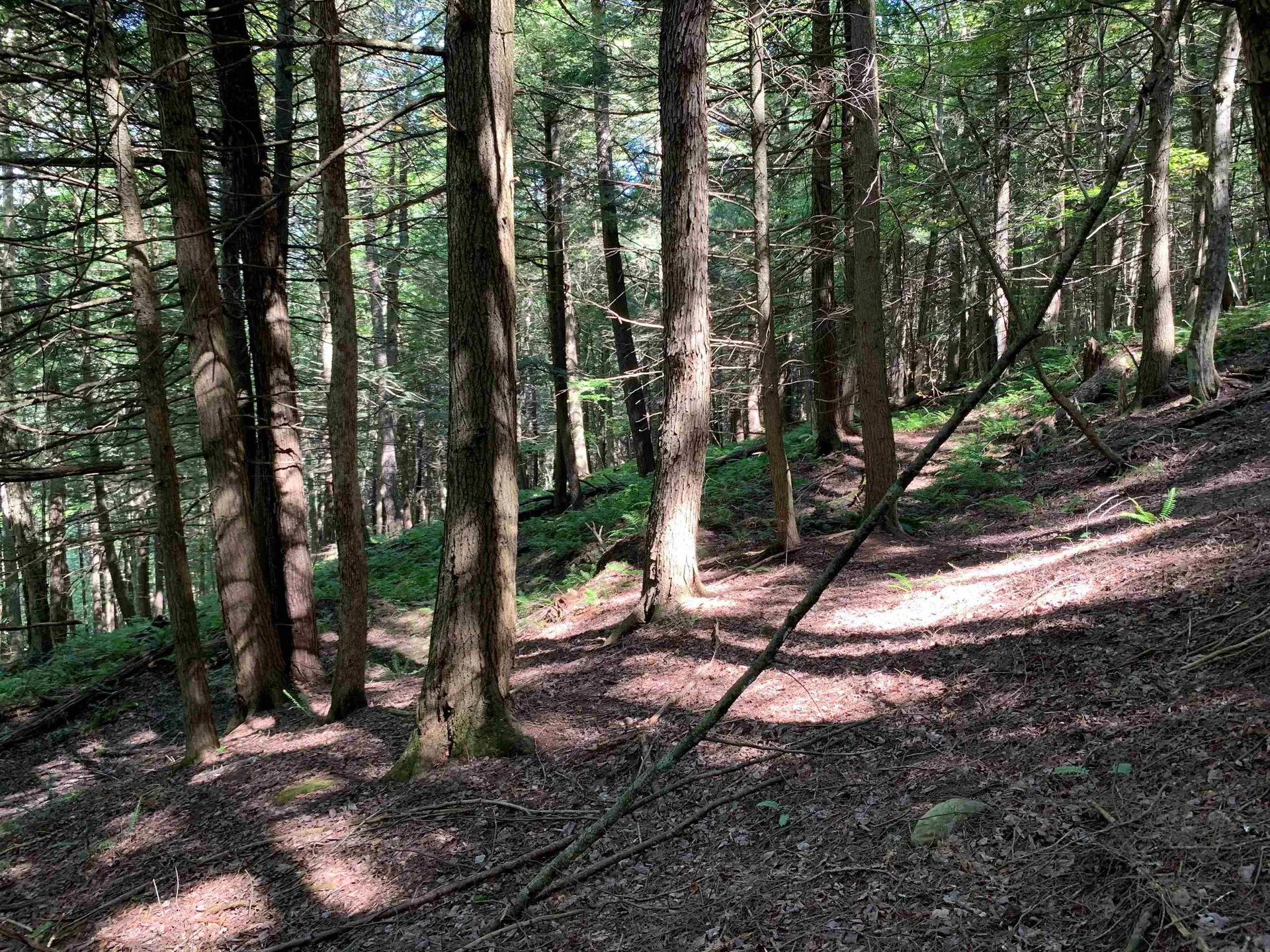 0 Howe Hill Road Sharon VT 05065
