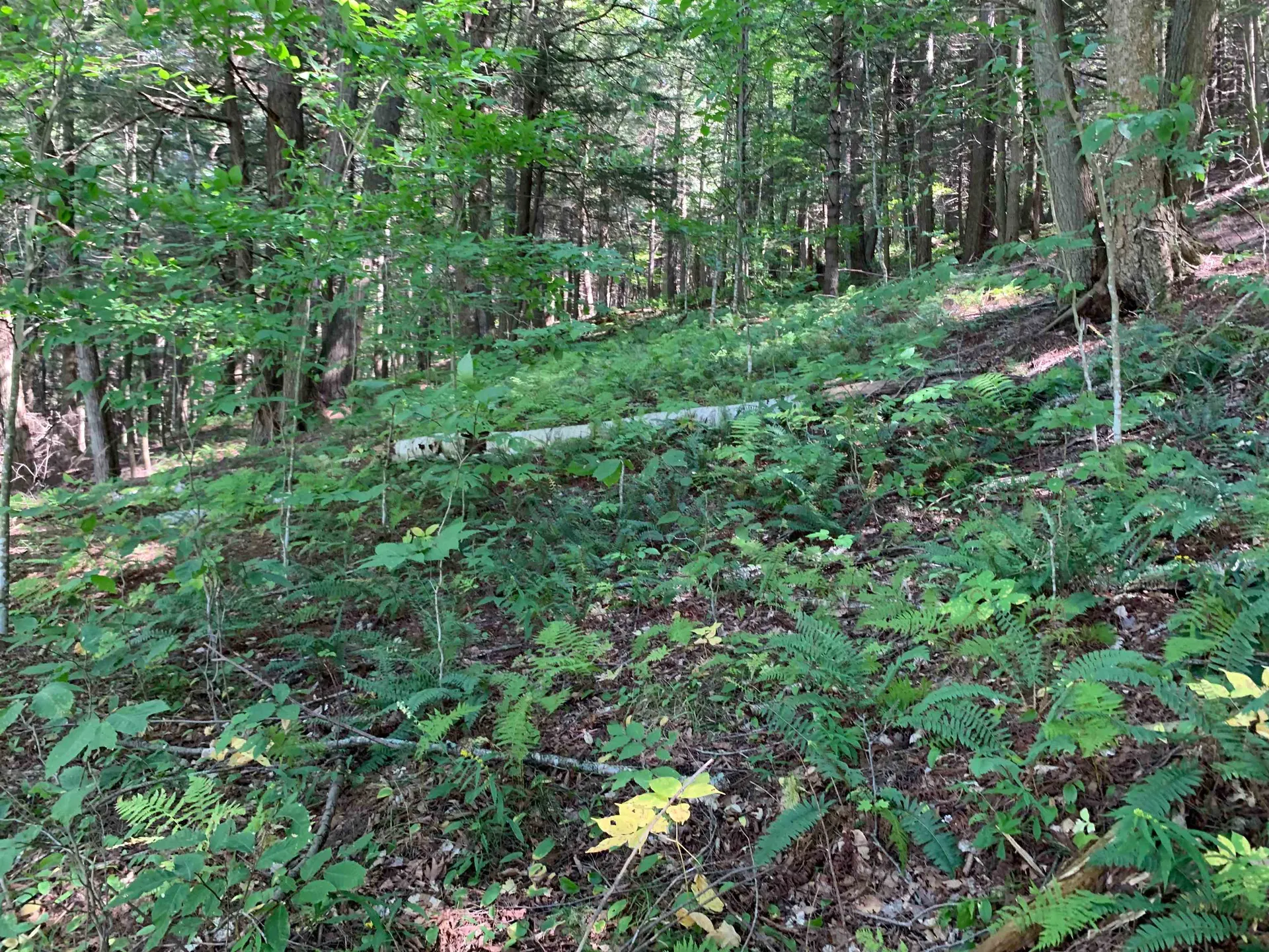 0 Howe Hill Road Sharon VT 05065