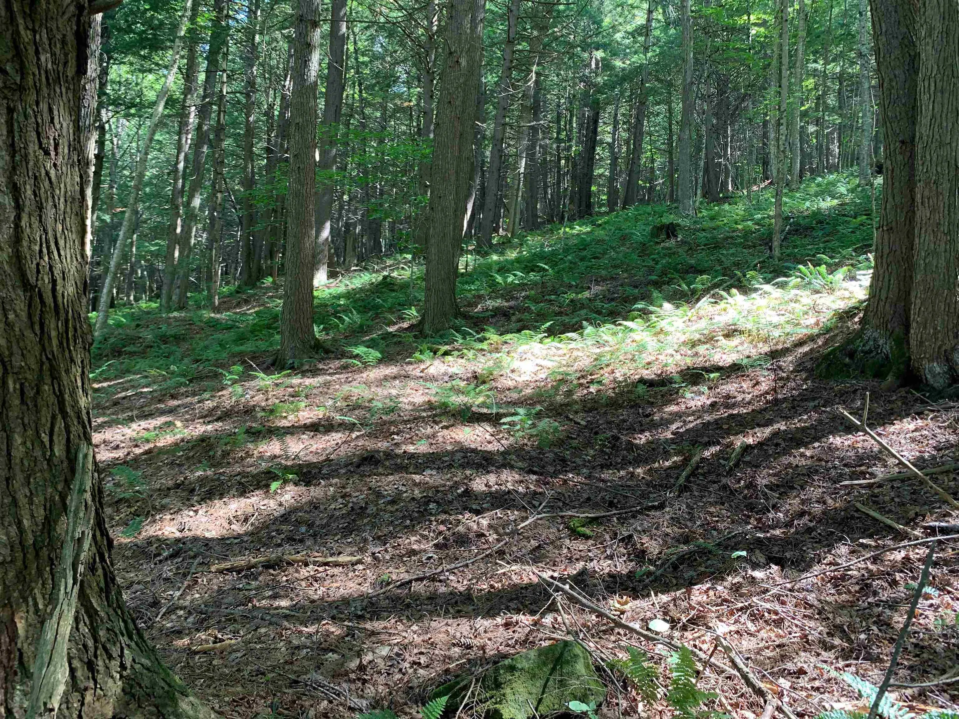 0 Howe Hill Road Sharon VT 05065