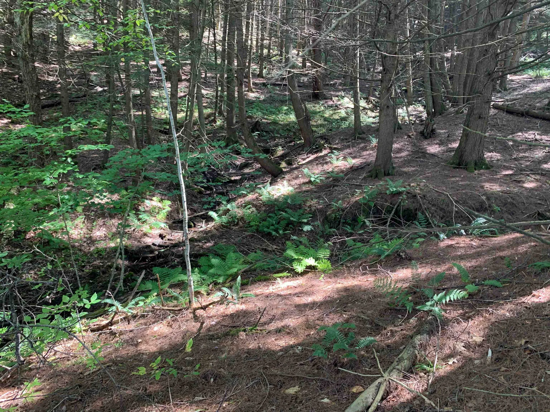 0 Howe Hill Road Sharon VT 05065