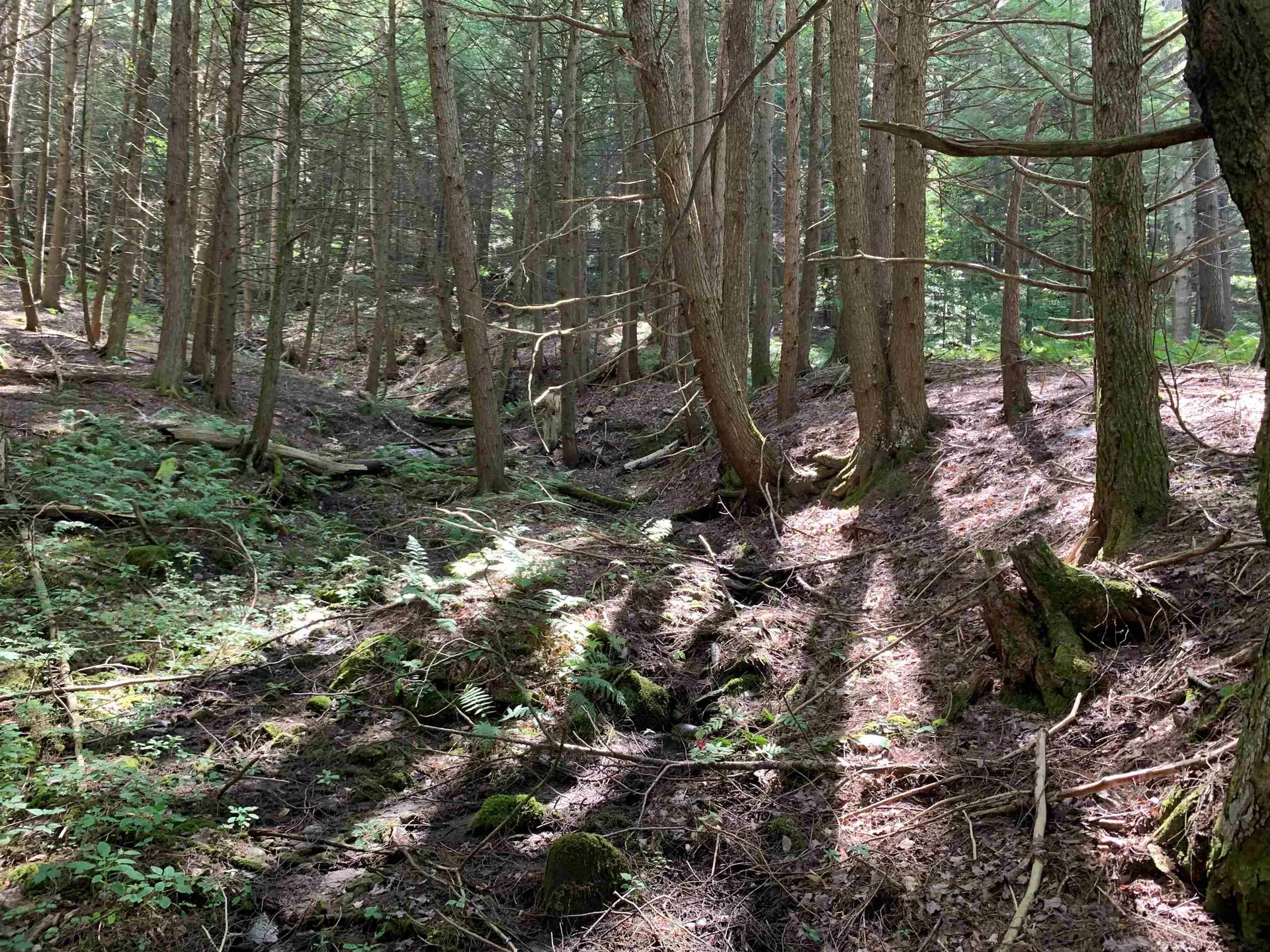 0 Howe Hill Road Sharon VT 05065