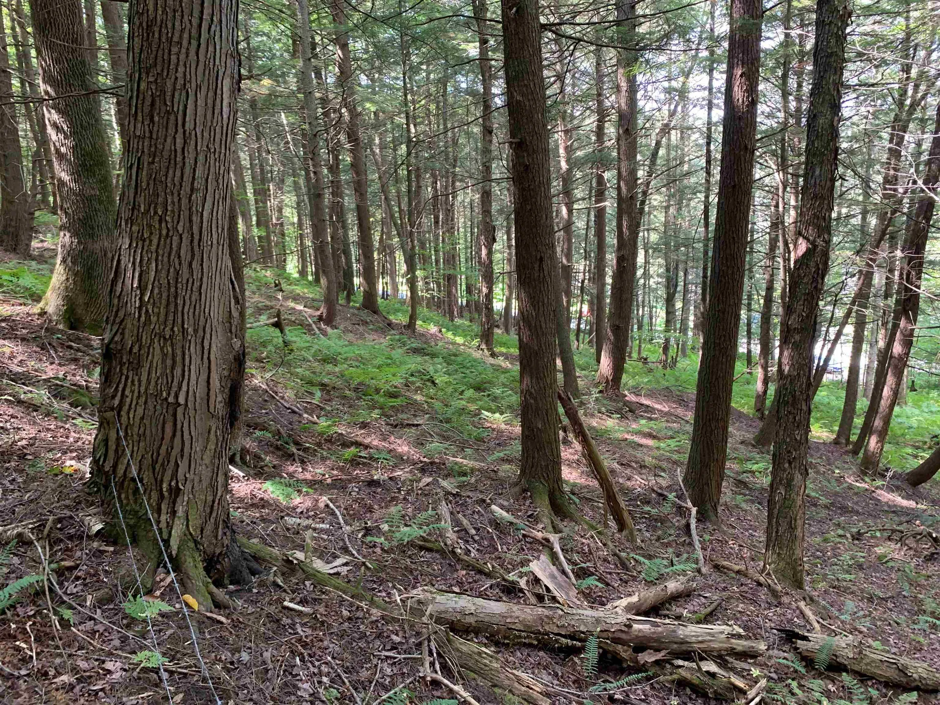 0 Howe Hill Road Sharon VT 05065