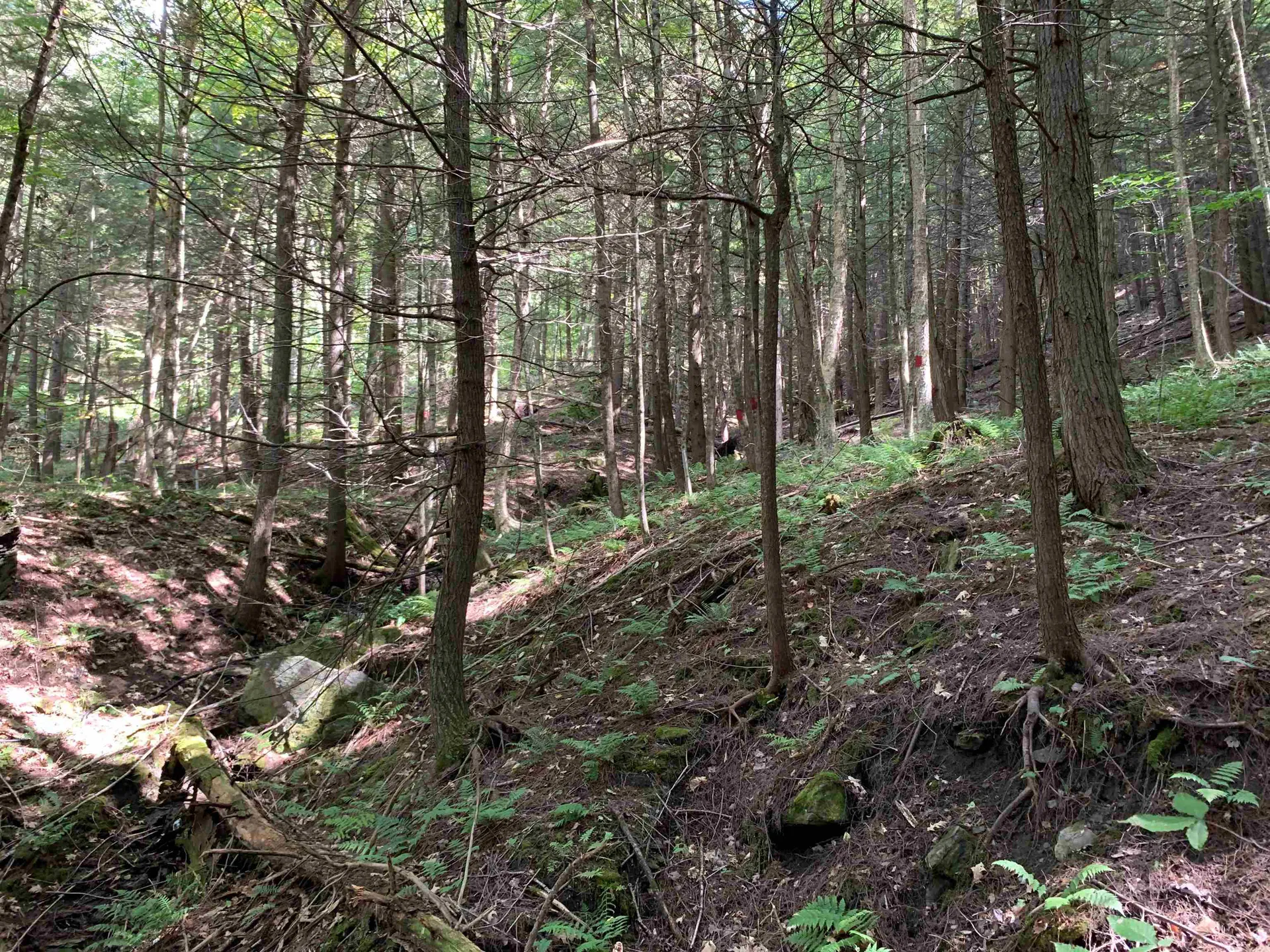 0 Howe Hill Road Sharon VT 05065
