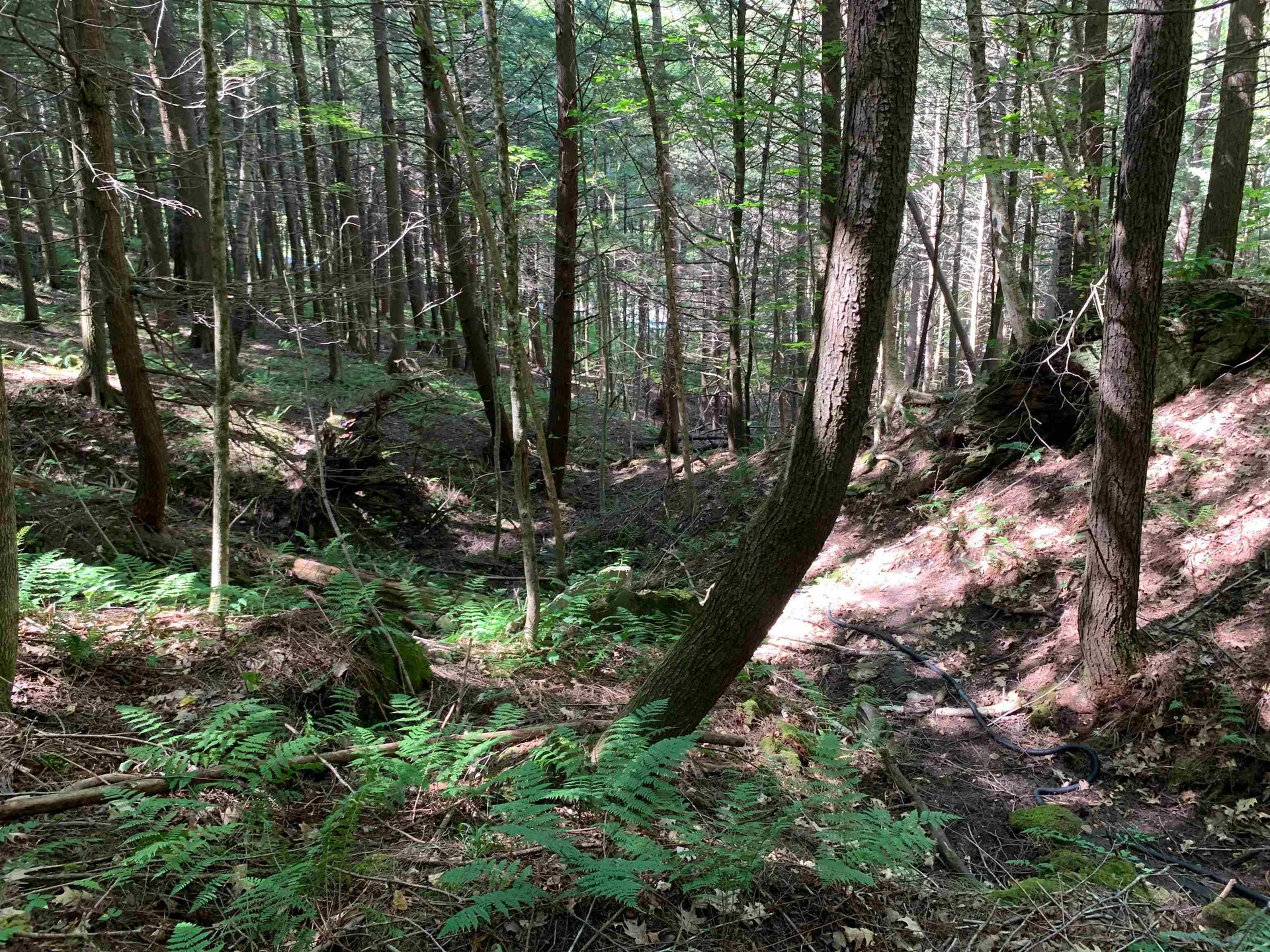 0 Howe Hill Road Sharon VT 05065