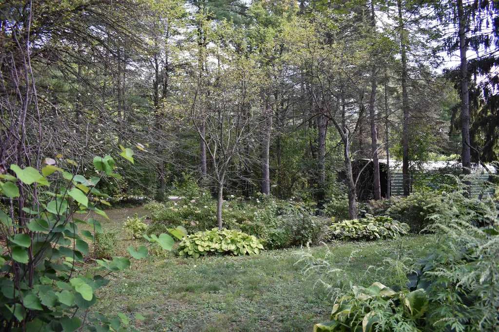 160 Foote Street Middlebury VT 05753