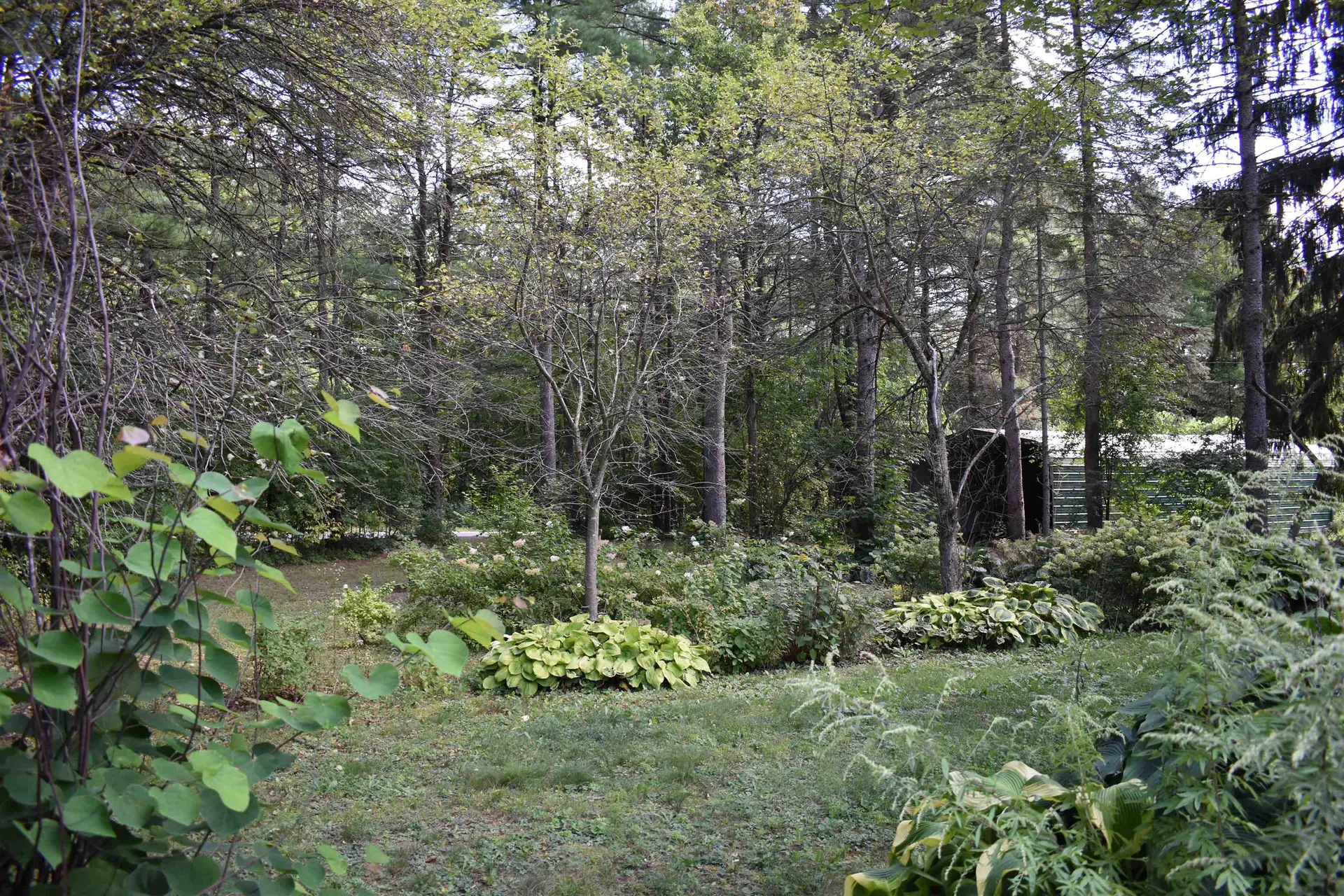 160 Foote Street Middlebury VT 05753
