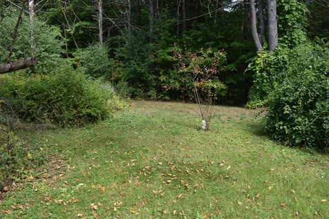 160 Foote Street Middlebury VT 05753