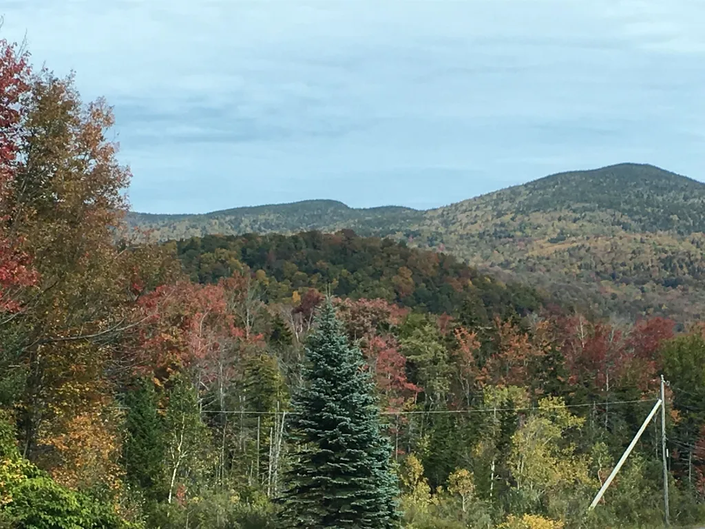 1428 Vt Route 9 West Searsburg VT 05363