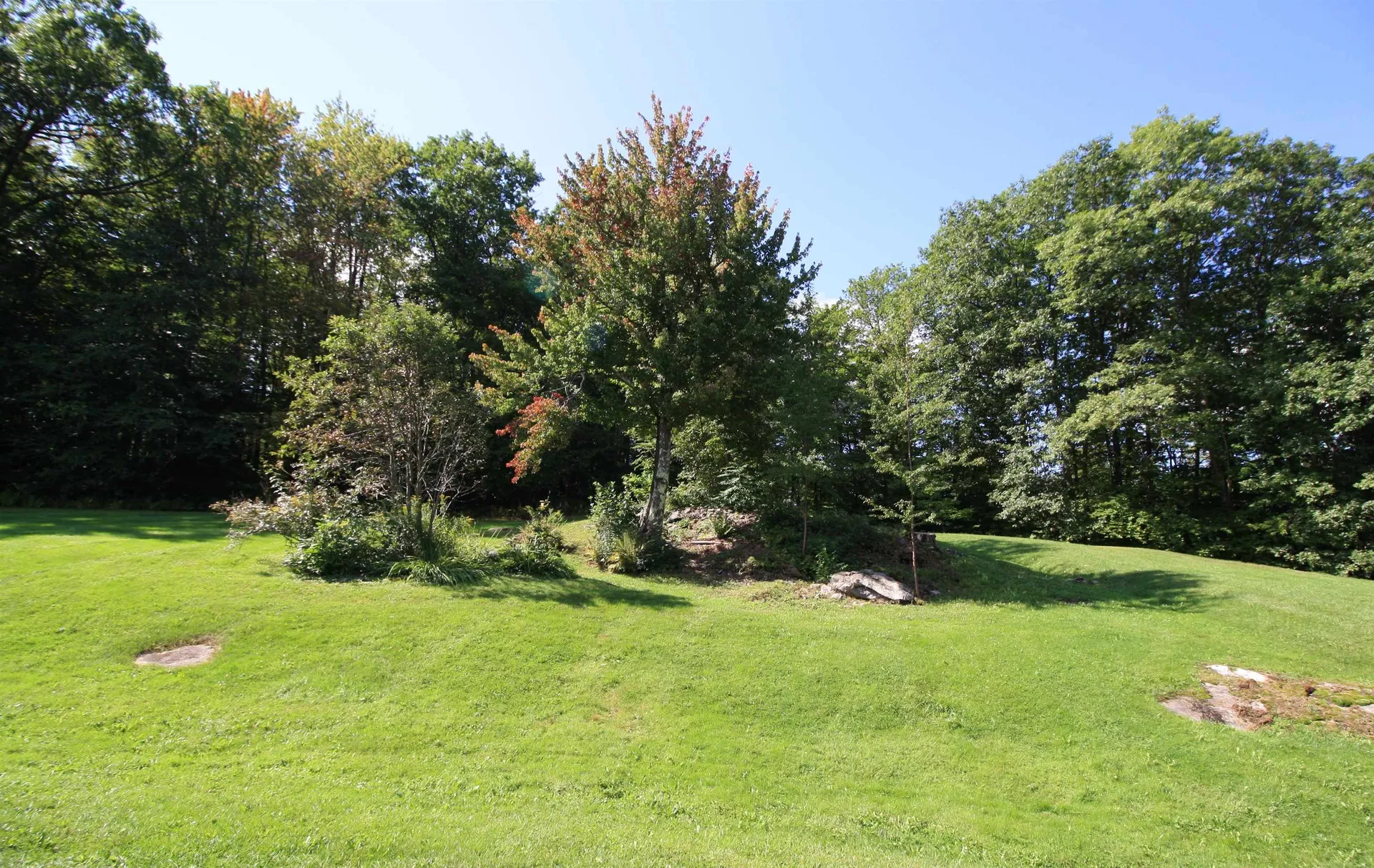 1062 Upper Meehan Road Bristol VT 05443