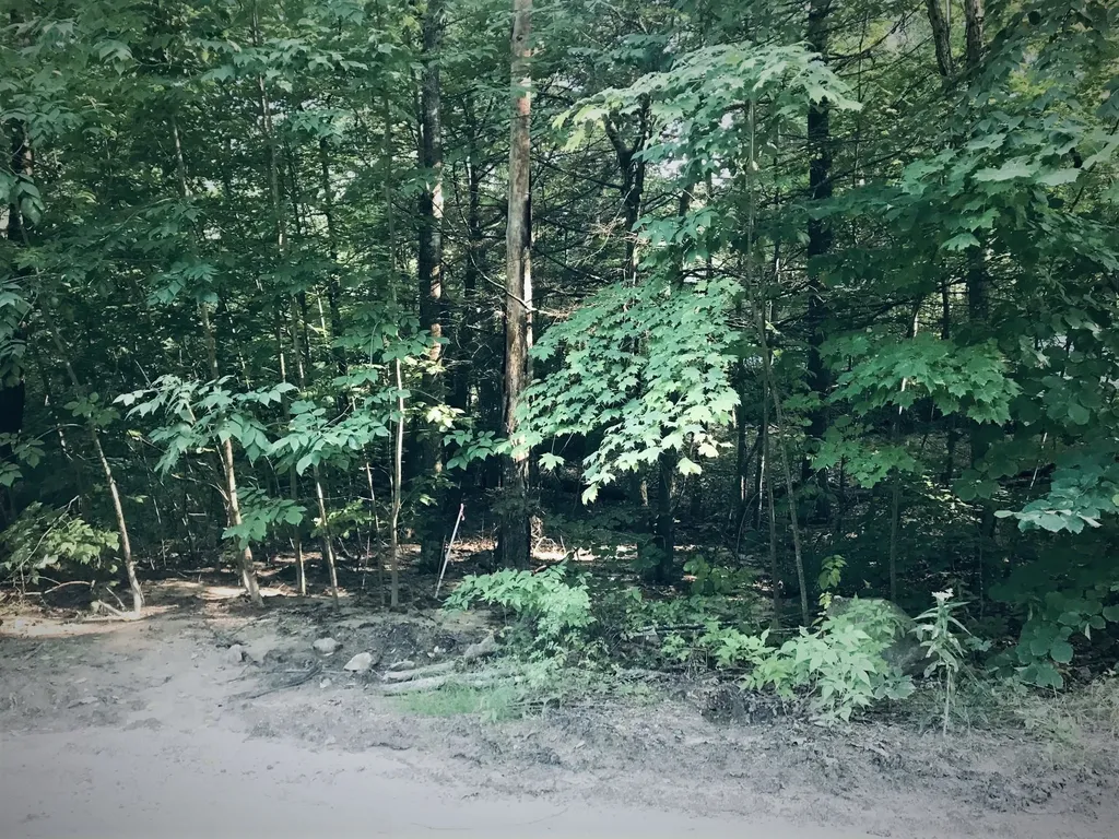 Lot 73 Long Shores Drive Barrington NH 03825