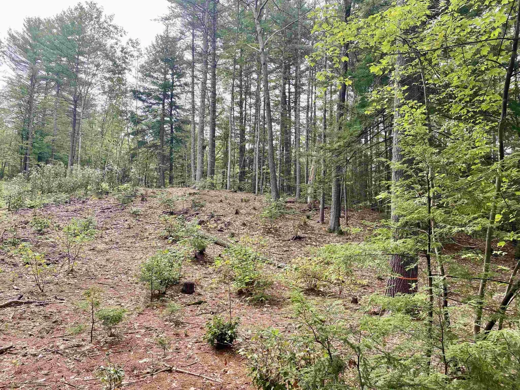 00 Davis Hill Road Conway NH 03813