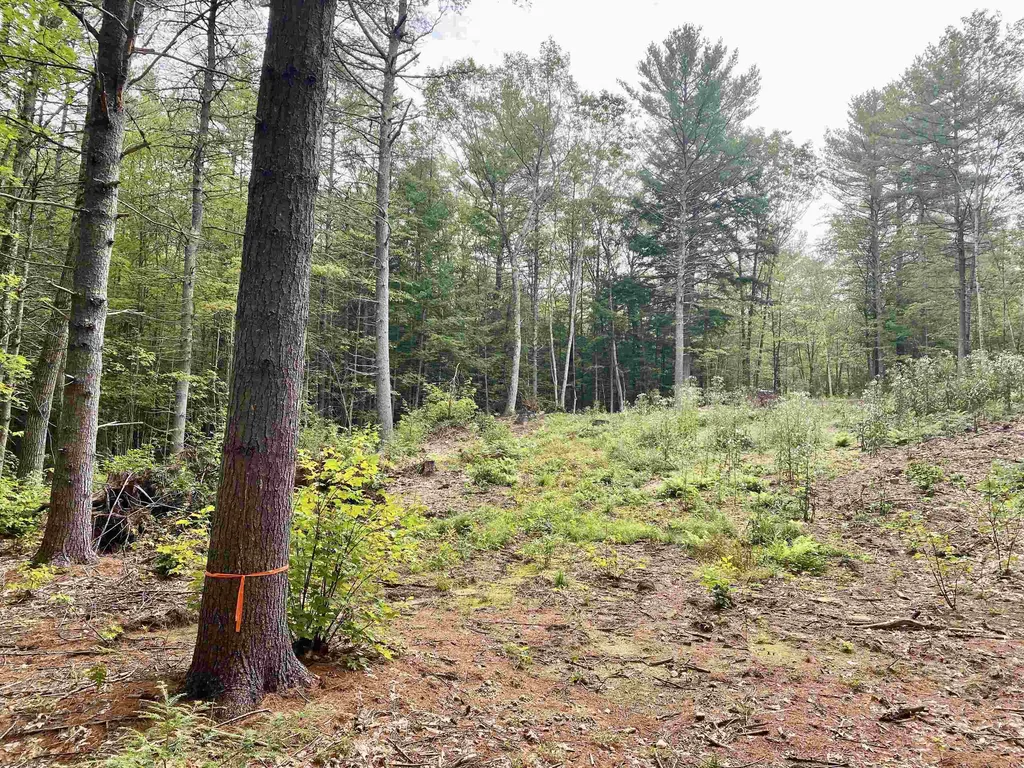 00 Davis Hill Road Conway NH 03813