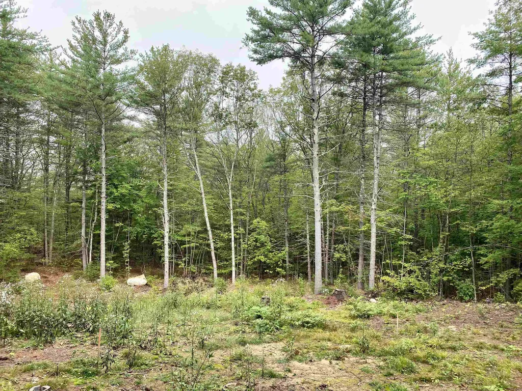 00 Davis Hill Road Conway NH 03813