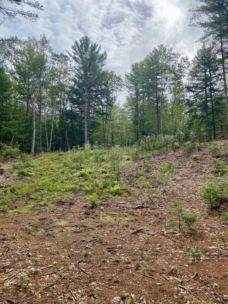 00 Davis Hill Road Conway NH 03813