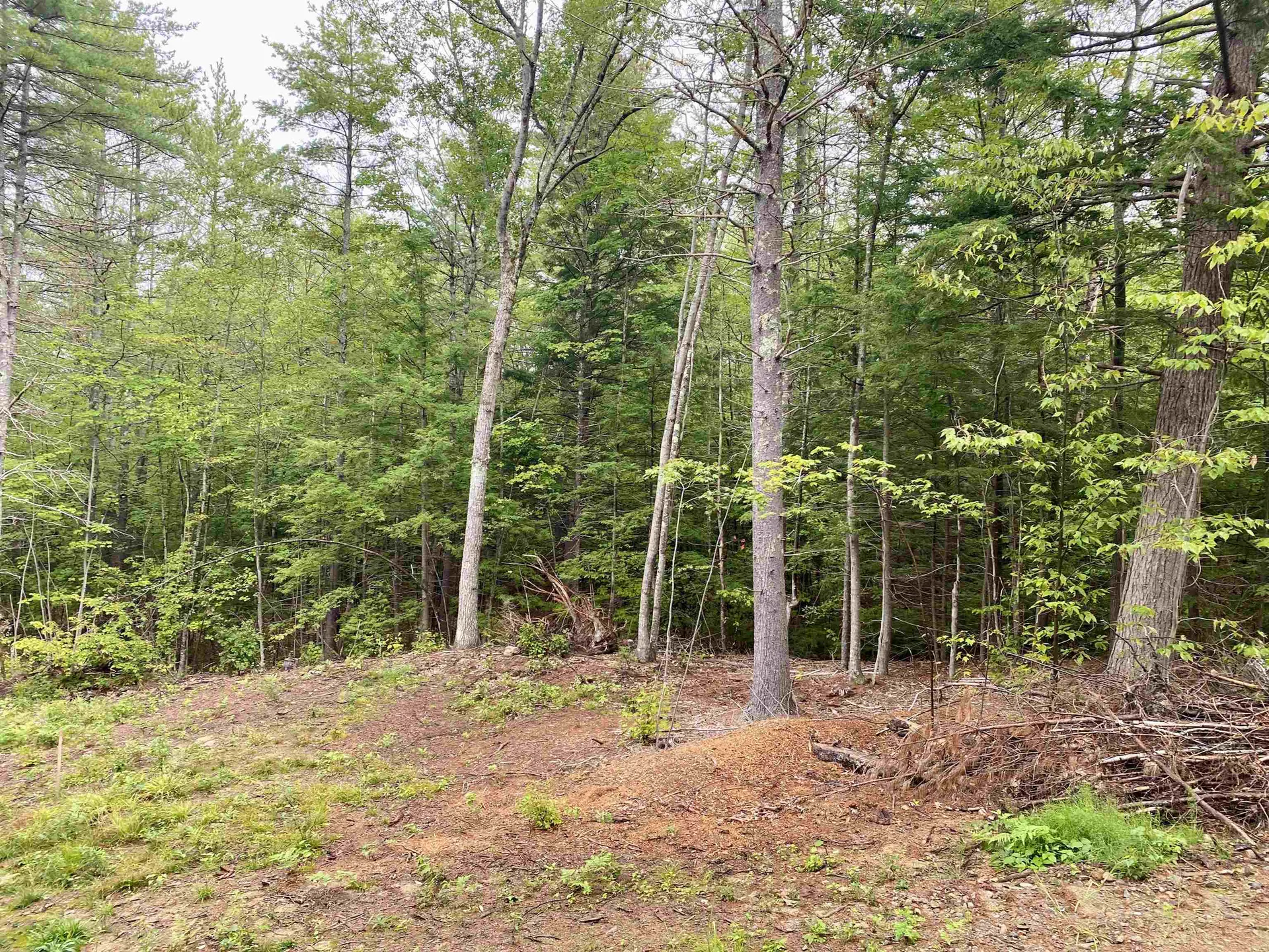 00 Davis Hill Road Conway NH 03813
