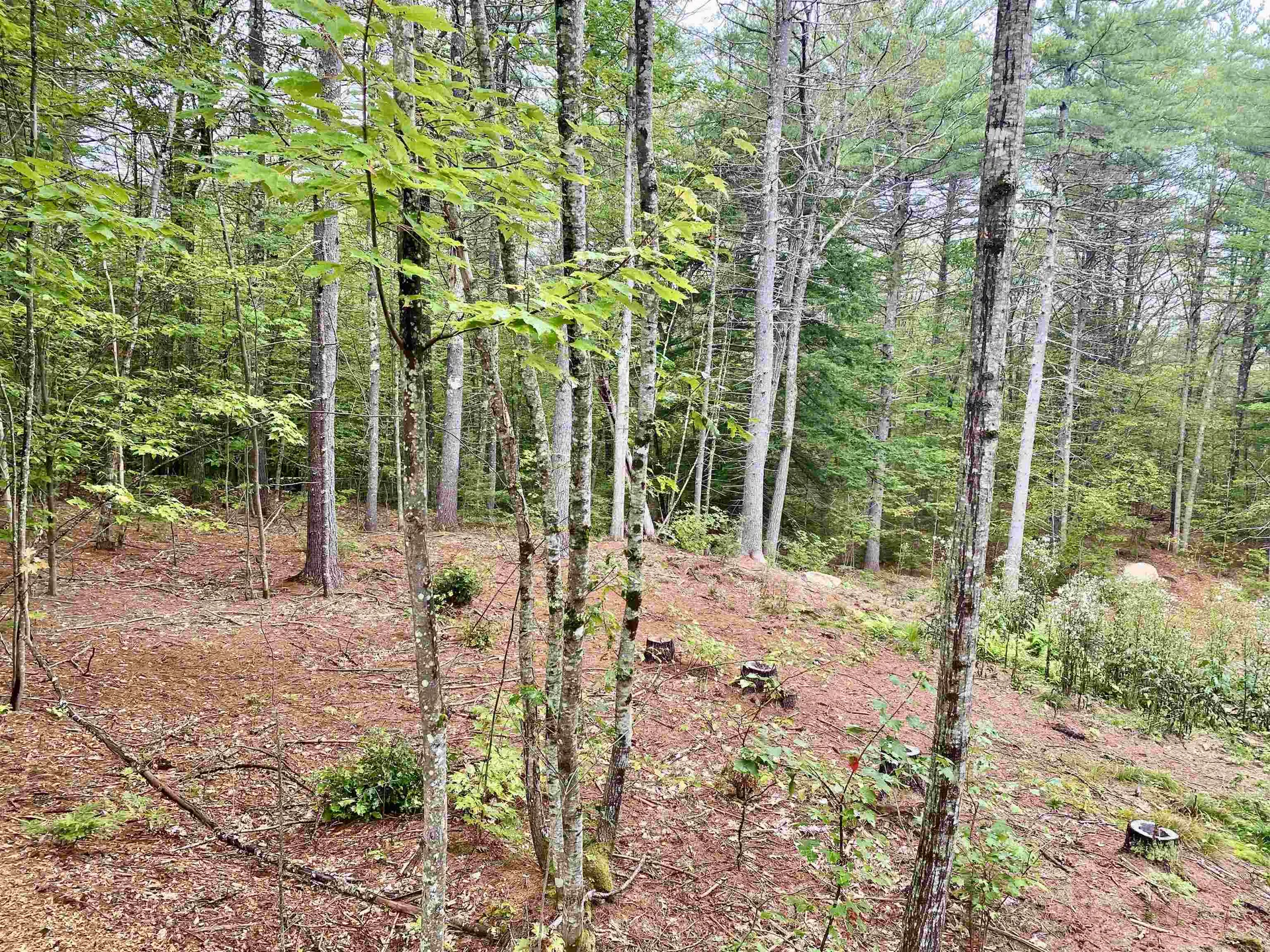 00 Davis Hill Road Conway NH 03813