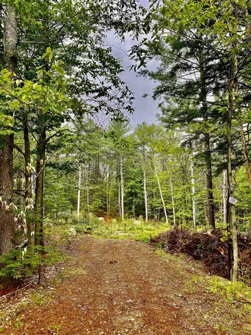 00 Davis Hill Road Conway NH 03813