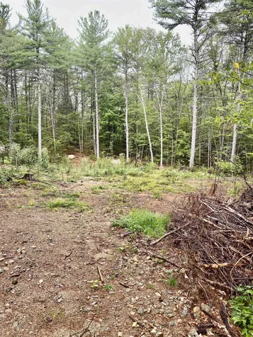 00 Davis Hill Road Conway NH 03813