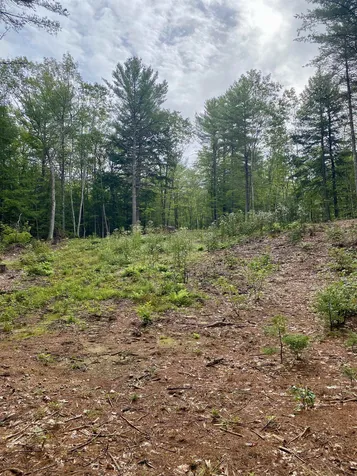 00 Davis Hill Road Conway NH 03813
