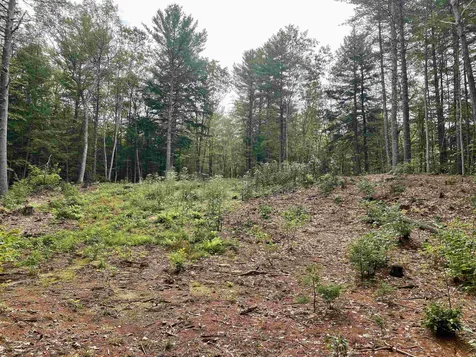 00 Davis Hill Road Conway NH 03813