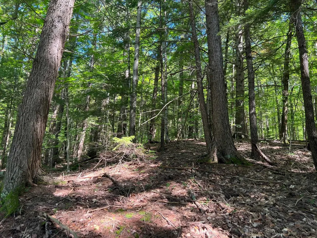 00 Eaton Road Conway NH 03818