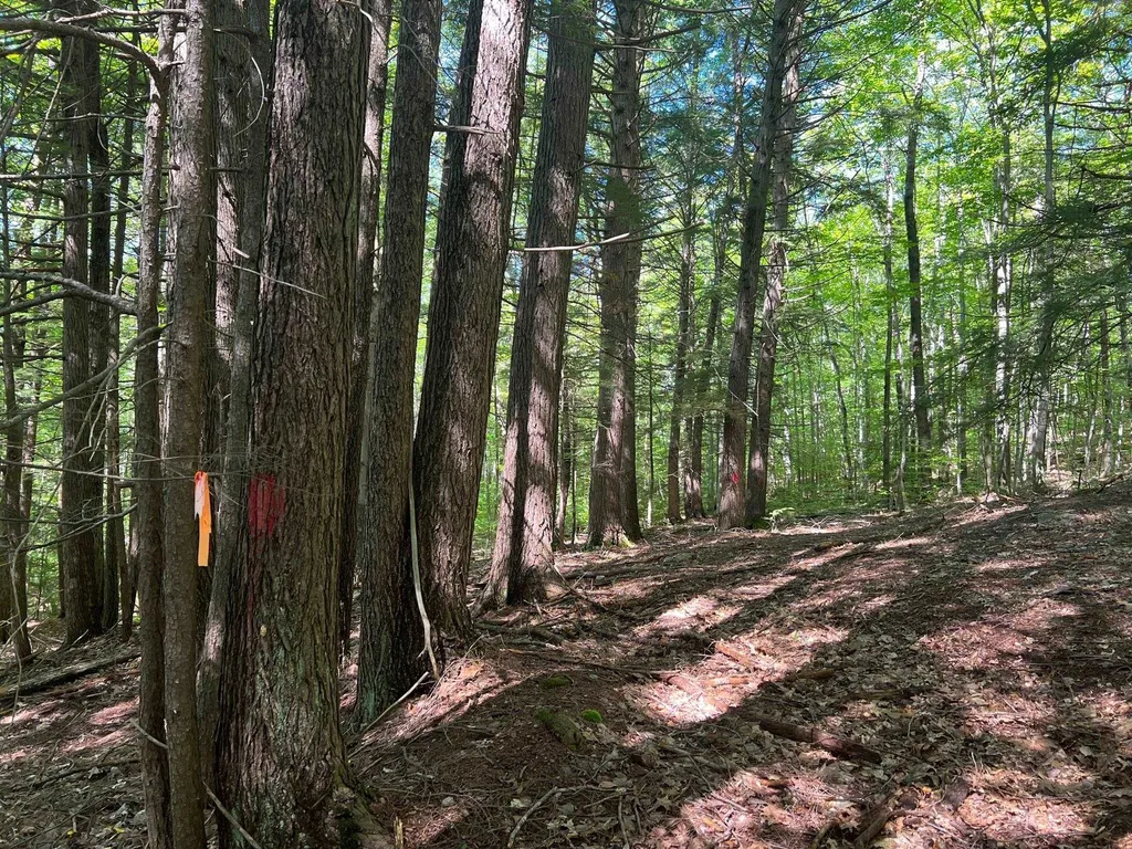 00 Eaton Road Conway NH 03818