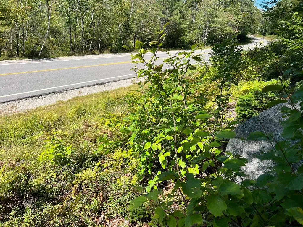 00 Eaton Road Conway NH 03818