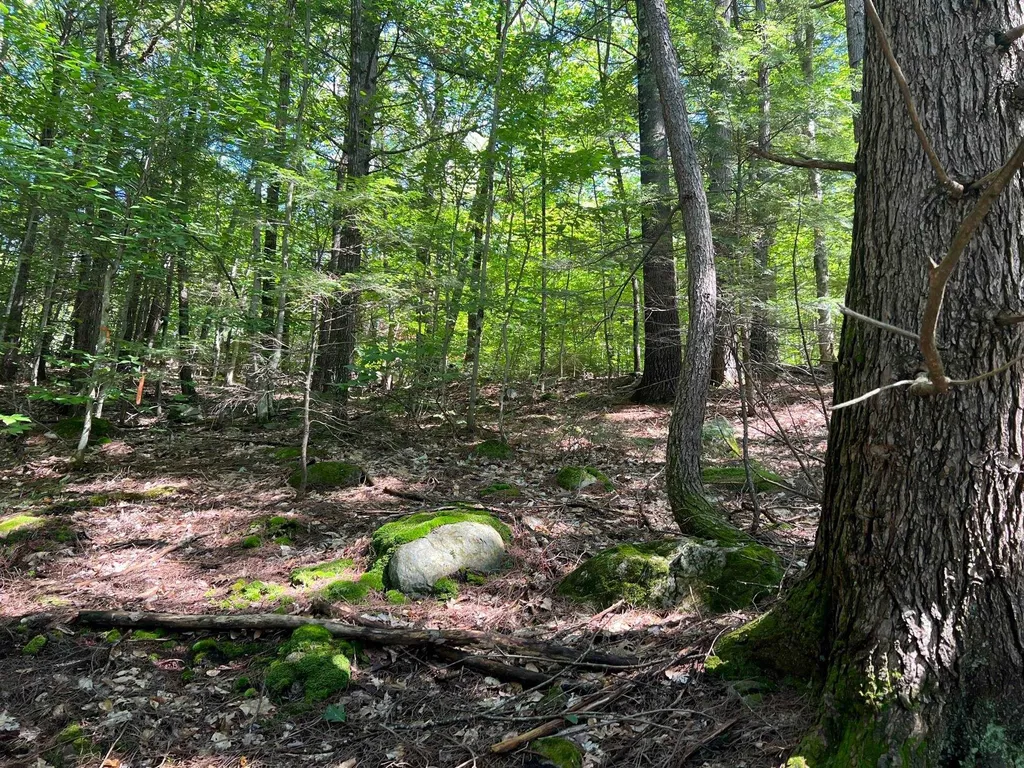 00 Eaton Road Conway NH 03818