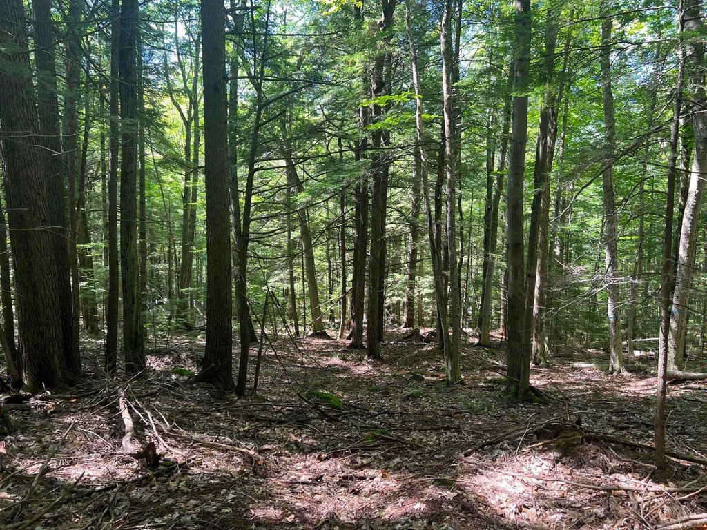 00 Eaton Road Conway NH 03818