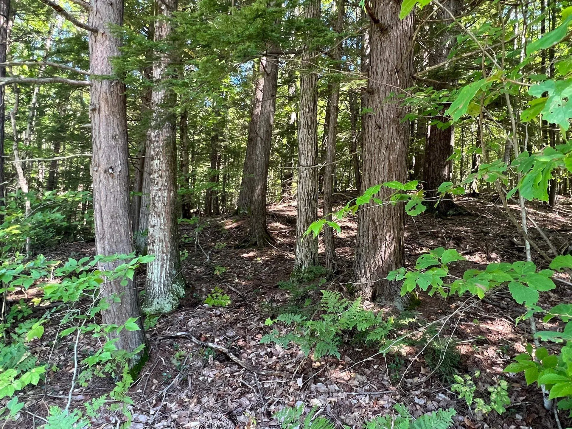 00 Eaton Road Conway NH 03818