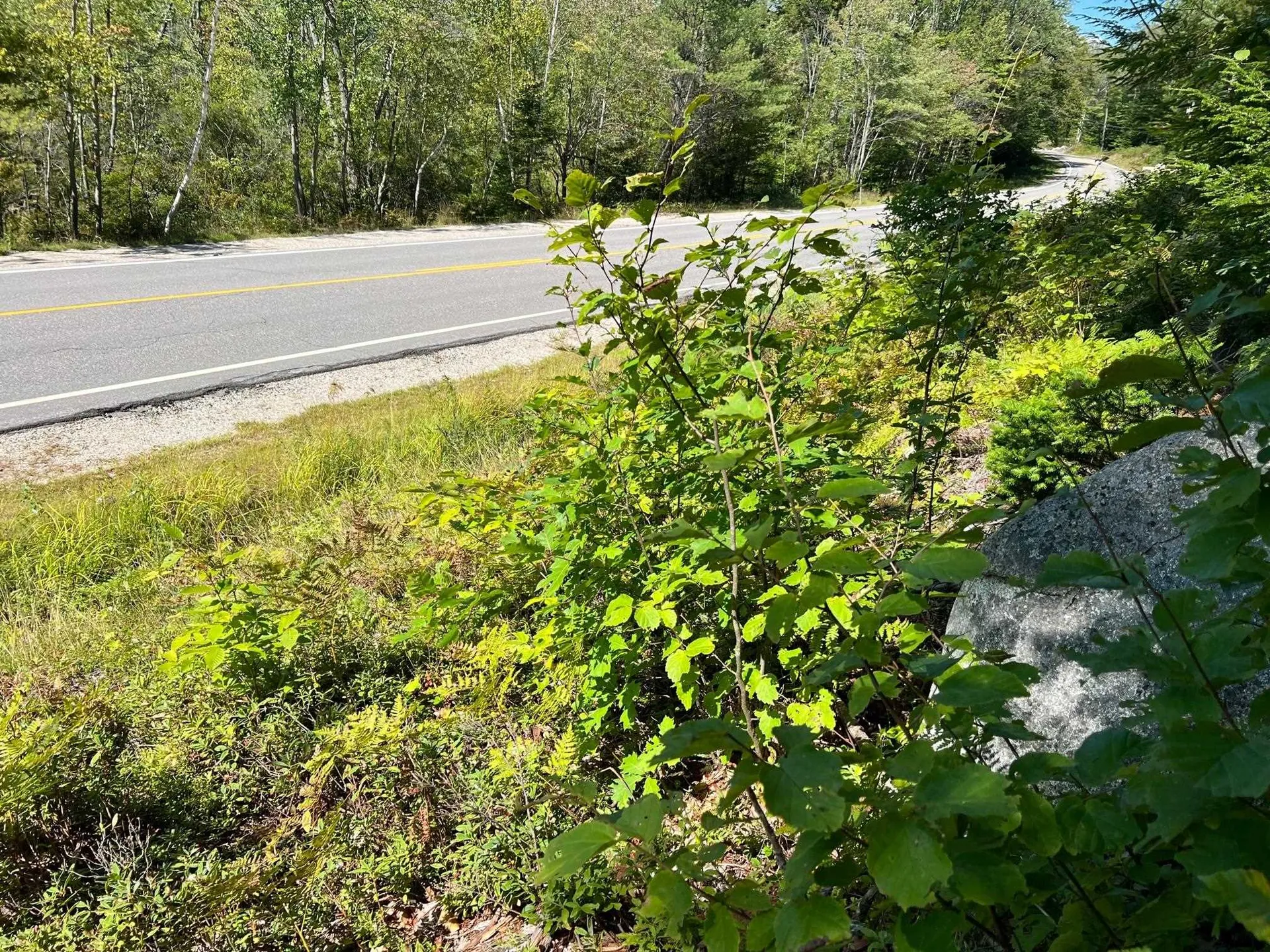 00 Eaton Road Conway NH 03818