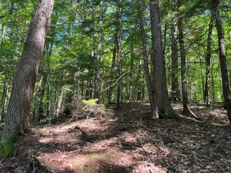 00 Eaton Road Conway NH 03818