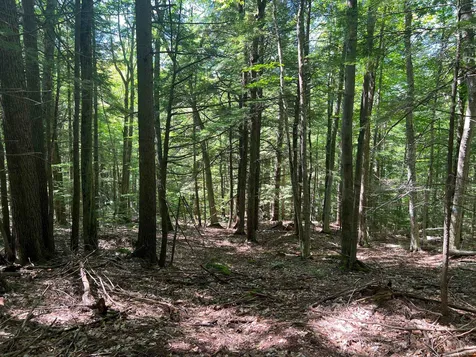 00 Eaton Road Conway NH 03818