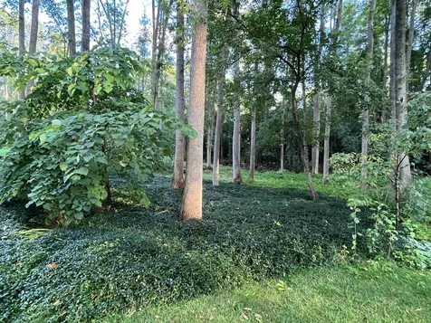 107 Wild Rose Circle Shelburne VT 05482