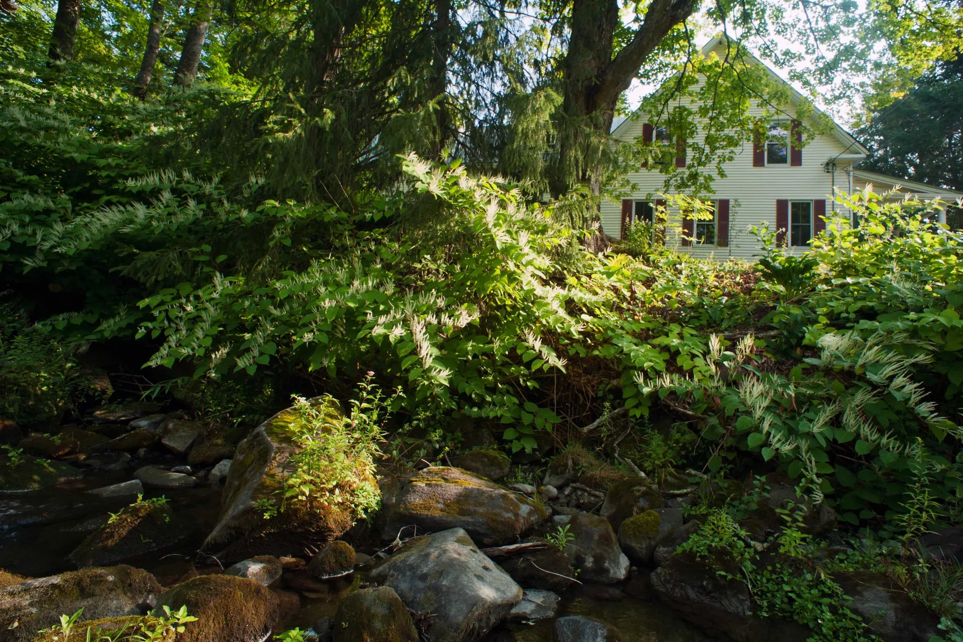 588 Kendall Road Woodstock VT 05091