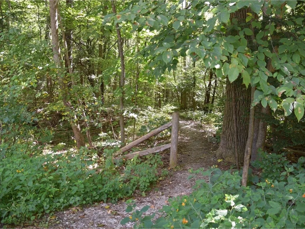 272 Pierson Drive Shelburne VT 05482