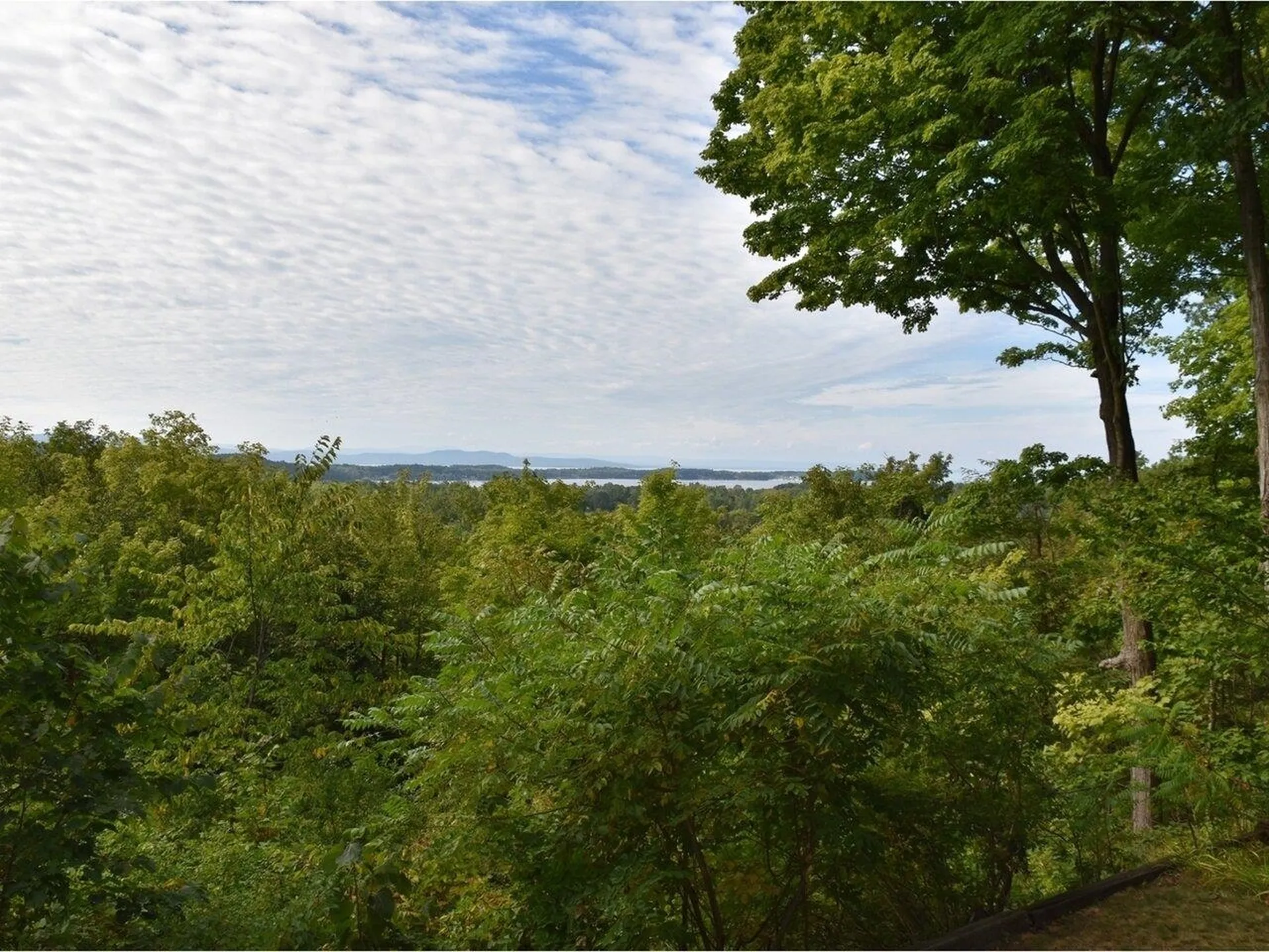 272 Pierson Drive Shelburne VT 05482
