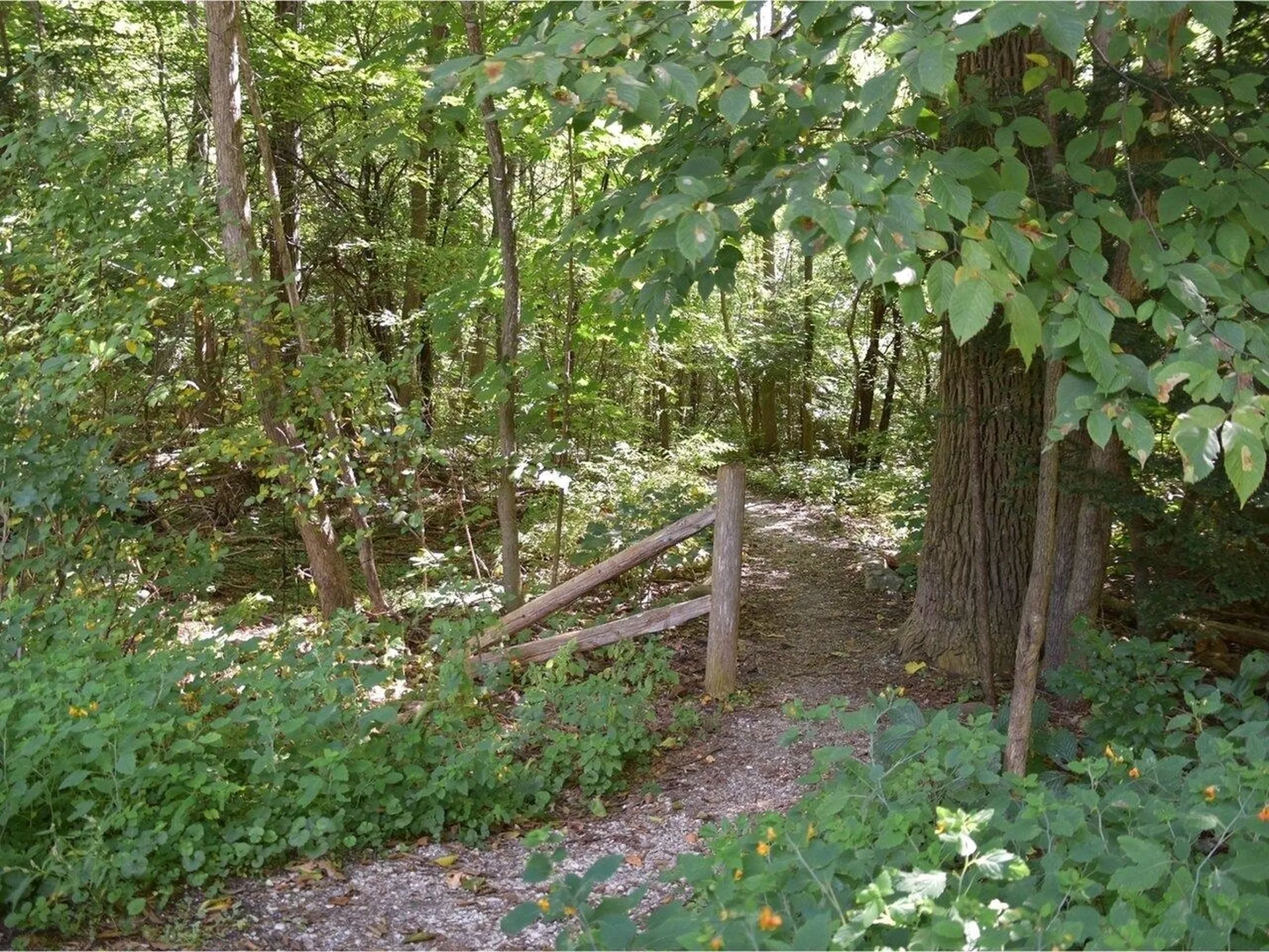 272 Pierson Drive Shelburne VT 05482